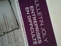 Bulletin Joly Entreprises en difficulté sous la direction scientifique de F. PEROCHON, laquelle organise "EIRL et actualités de la sauvegarde des entreprises" (Colloque le 27 mai 2011, Faculté de Droit de Montpellier) Bulletin Joly Entreprises en difficulté sous la direction scientifique de F. PEROCHON, laquelle organise "EIRL et actualités de la sauvegarde des entreprises" (Colloque le 27 mai 2011, Faculté de Droit de Montpellier)