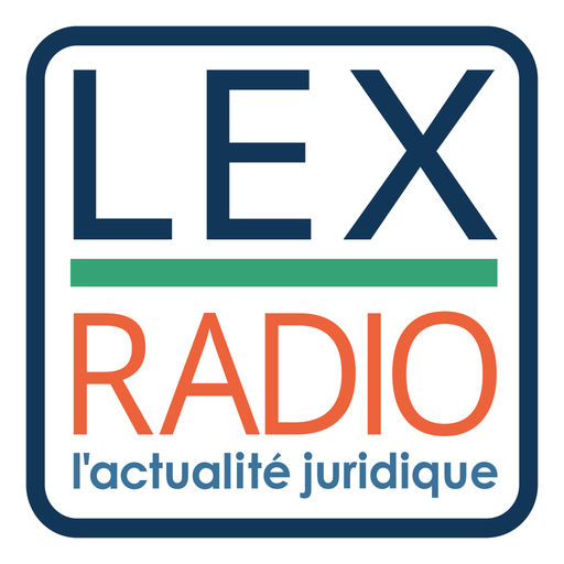 L’indexation résultant d’un prêt en devises peut constituer une clause abusive et justifier une mise en garde (Cass. civ. 1, 29 mars 2017, 2 arrêts, étude in LEXBASE) L’indexation résultant d’un prêt en devises peut constituer une clause abusive et justifier une mise en garde (Cass. civ. 1, 29 mars 2017, 2 arrêts, étude in LEXBASE)