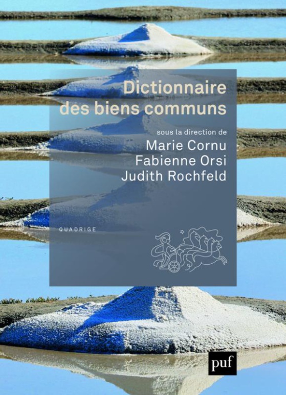 Du remarquable "Dictionnaire des biens communs", PUF Quadrige, 2017, dir. M. Cornu, F. Orsi et J. Rochfeld.