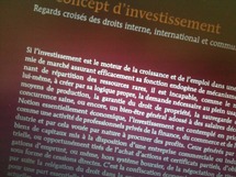 Le concept d'investissement, éd. Bruylant, 2011, dir. M. SINKONDO et H. CAUSSE, avec Ch. GOYET, C. TILLOY, Ch. FARDET, F. MANIN, G. DARMON, Th. GEORGOPOULOS.