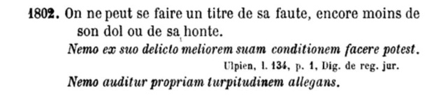 Chacun peut se prévaloir de sa propre turpitude (Cons. const., Déc. AN n° 2022-5768 AN du 2 déc. 2022) Chacun peut se prévaloir de sa propre turpitude (Cons. const., Déc. AN n° 2022-5768 AN du 2 déc. 2022)