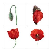 La fin du Droit ? La fin du Droit ?