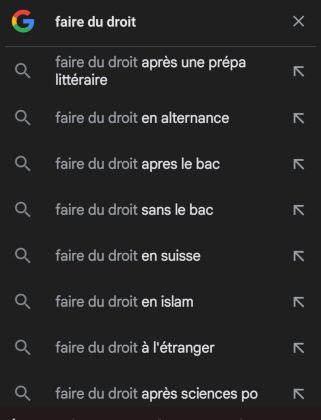 Faire du droit. Vers la théorie. Vers la pratique.