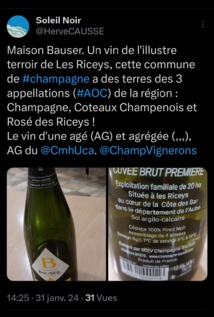 Les Riceys, la commune qui témoigne des trois appellations de la Champagne. Les Riceys, la commune qui témoigne des trois appellations de la Champagne.