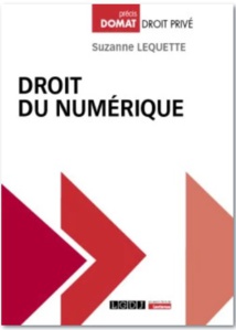 Droit du numérique. Structures, systèmes et services du numérique.