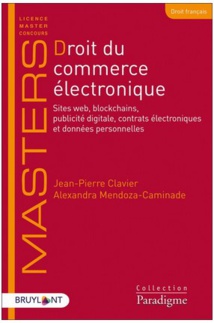 Droit du numérique. Structures, systèmes et services du numérique.