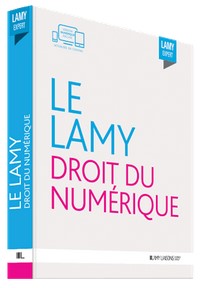 Droit du numérique. Structures, systèmes et services du numérique.