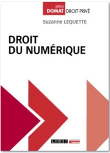 Publication du règlement du 13 juin 2024 sur l'Intelligence Artificielle (JOCE, 12 juillet 2024). Publication du règlement du 13 juin 2024 sur l'Intelligence Artificielle (JOCE, 12 juillet 2024).