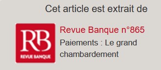 L'euro numérique pourrait remplir les tuyaux monétaires et ainsi supporter l'euro...? A propos d'un Dossier, Revue Banque.