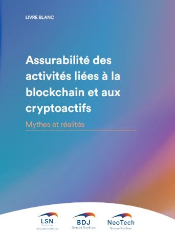 Livre Blanc sur l'assurabilité des NFT (Groupe Diot-Saci)