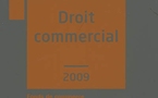 ... et Barthélémy MERCADAL réinventa le Droit commercial ! (Mémento Pratique Francis Lefebvre, Droit commercial, 2010)