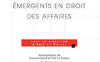 Participation à l'ouvrage "Les concepts émergents en droit des affaires" (éd. LGDJ) ;  pour nous : le système.