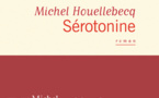 Sérotonine, le roman de Michel Houellebecq, atteint-il l'esprit par l'événement en cours ?