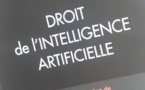 En vente ! Droit de l'intelligence artificielle, LGDJ Lextenso, dir. G. Loiseau et A. Bensamoun