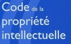 Le docteur était aussi un auteur titulaire de droits... d'auteur ! (Cass. 1re civ., 13 déc. 2013, X c/ Inist)