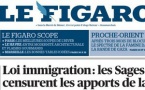 Le bricolage parlementaire emporté par le conformisme constitutionnel. La loi immigration passée au sabre du Conseil constitutionnel.