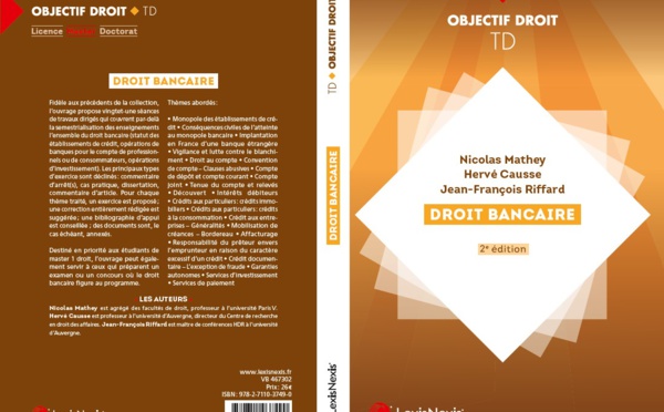 L'article que je n'ai jamais écrit : "H. CAUSSE, De la notion d'investisseur, ibid", exemple amusant de ce qu'est la méthode. (lire le warning ⚠)