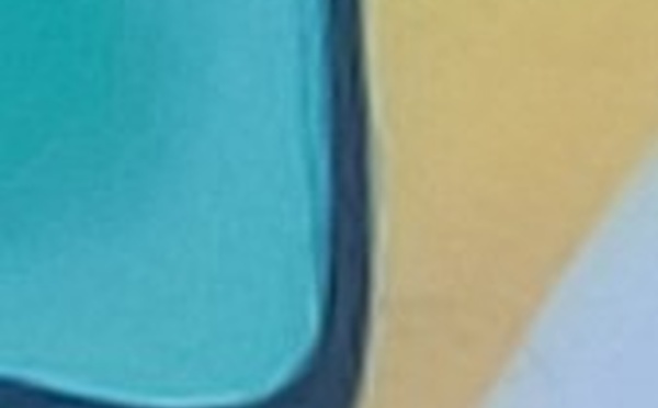 La consultation juridique : une analyse juridique motivée en droit qui conclut à une opinion.