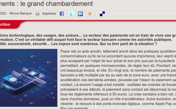 L'euro numérique pourrait remplir les tuyaux monétaires et ainsi supporter l'euro...? A propos d'un Dossier, Revue Banque.