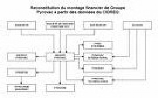 Société civile de portefeuille, un cas d'abus de droit fiscal. L'apport de la nue-propriété d'un gros paquet d'OAT. Apport fictif des enfants (120 F.). Les bricoleurs et bricolages de gestion de patrimoine épinglés (Cass. Com. 15 mai 2007).