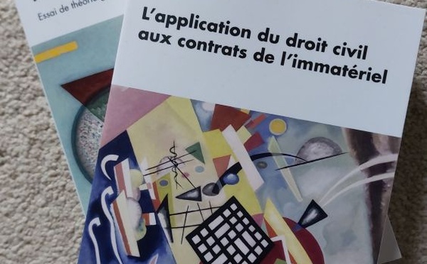Numérique, une thématique et deux livres sur le numérique juridique, Editions mare &amp; martin.