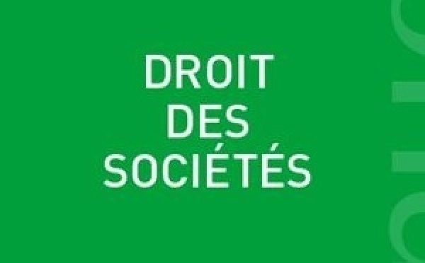 Le principe du vote en assemblée, sa liberté : une liberté.