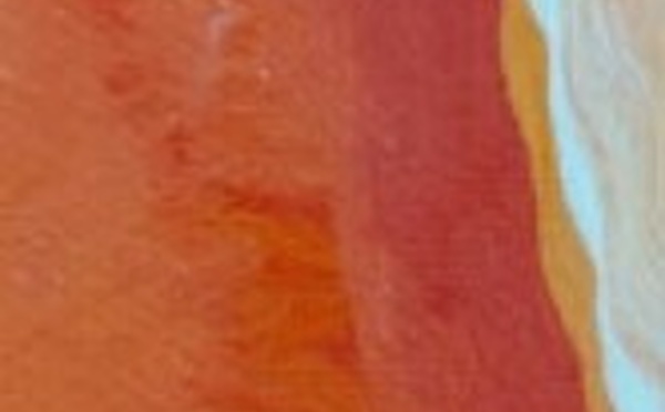 Faire payer l'Université aux étudiants étrangers : une horreur contraire à quoi ? Ou le début de la rénovation des Universités ?