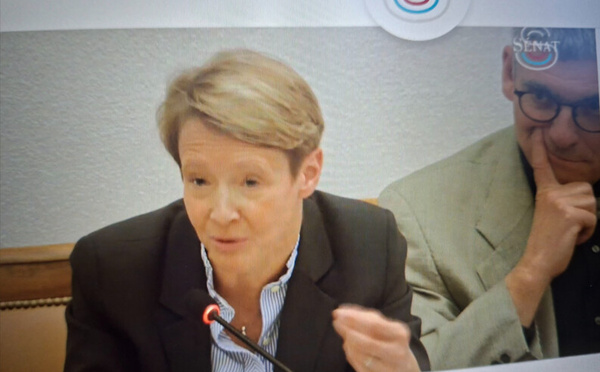 Un point sur la Commission d'enquête du Sénat Universités françaises et excellence académique. #universités