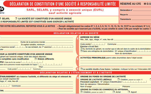 Ce que fut la création de société... avec un fameux formulaire à remplir pour le RCS. Ce qu'elle est devenue. Exemple.