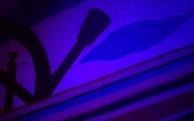 Journal de mille jours et mille pensées