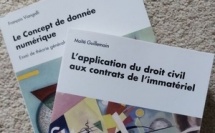 Numérique, une thématique et deux livres sur le numérique juridique, Editions mare &amp; martin.