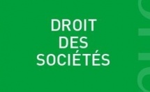 Le principe du vote en assemblée, sa liberté : une liberté.