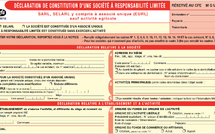 Ce que fut la création de société... avec un fameux formulaire à remplir pour le RCS. Ce qu'elle est devenue. Exemple.